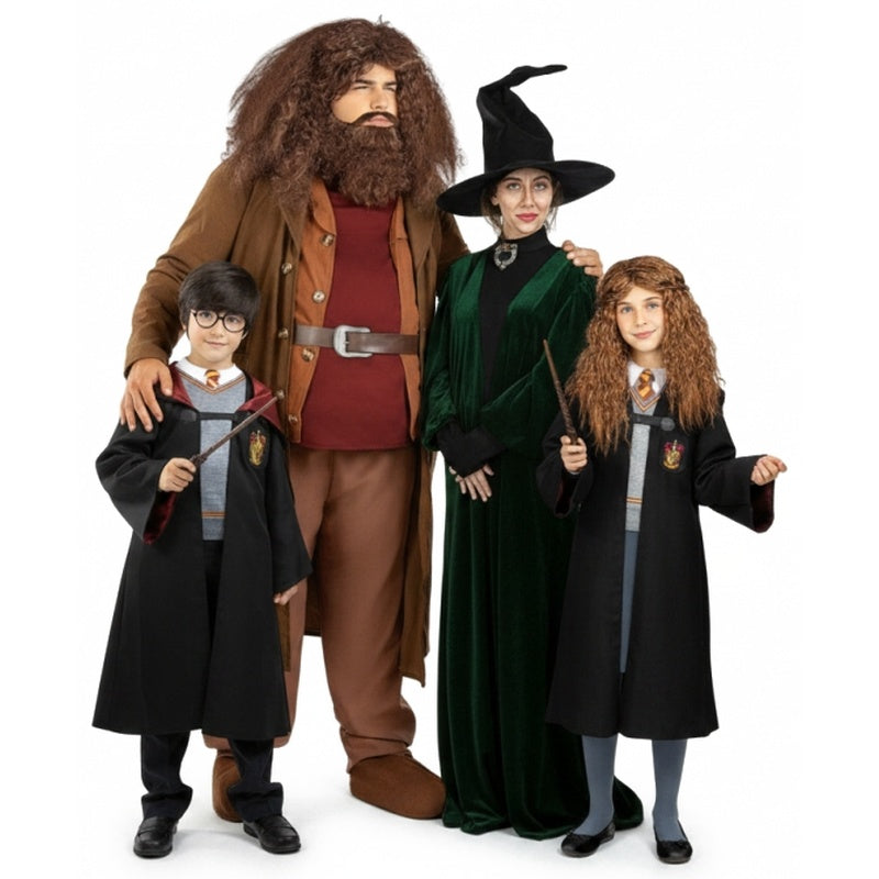 Groupe Hogwarts de Harry Potter