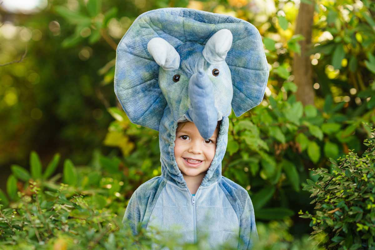 ideas-disfraces-animales-ninos