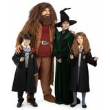Groupe Hogwarts de Harry Potter