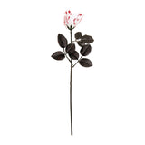 Flor Ensangrentada