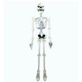 Esqueleto Hinchable Halloween