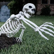 Esqueletos y calaveras para la decoración de Halloween