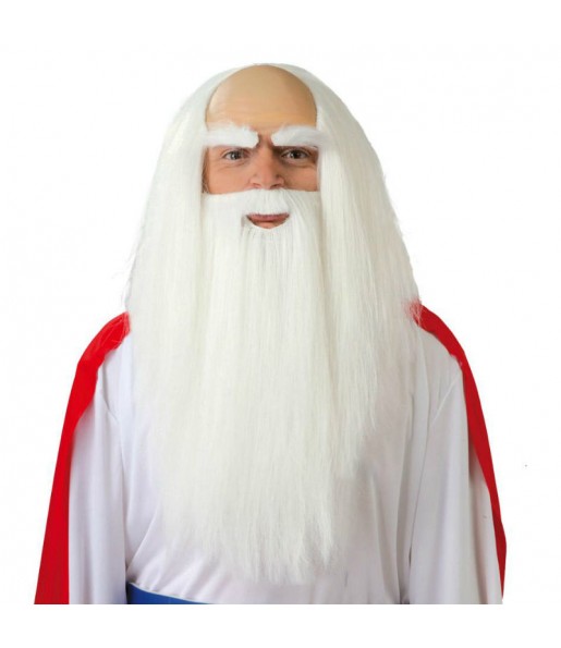 Perruque et Barbe Druide