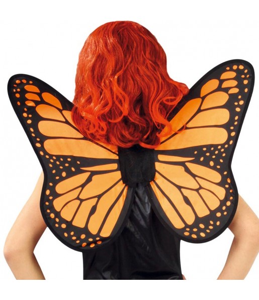 Ailes Oranges Papillon