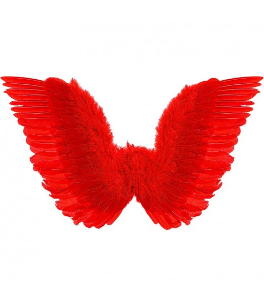 Ailes Plumes rouges