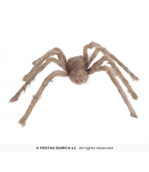 Araignée Géante Grise