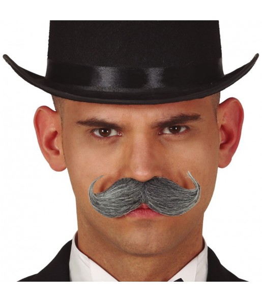 Moustache Anglais Gris