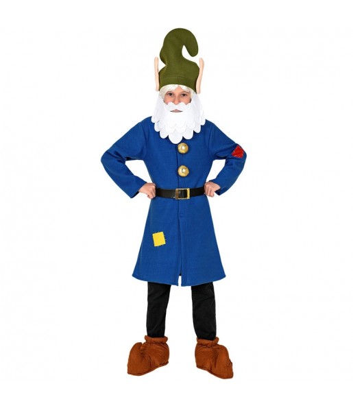 Costume Lutin bleu garçon