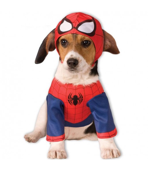 Déguisement Spiderman pour chien