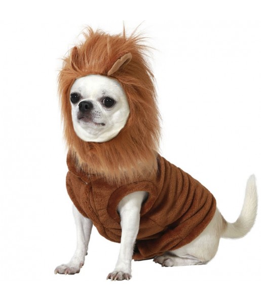 Costume pour chien Lion