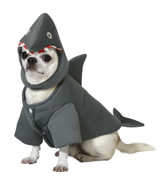 Costume pour chien Requin