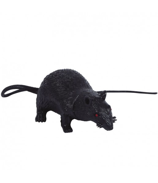 Rat Caoutchouc