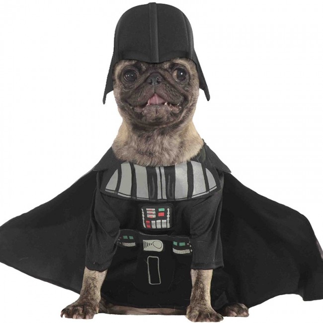 ▷ Déguisement Darth Vader Star Wars pour et Animaux【Achat ligne】