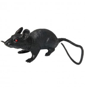 Rat Caoutchouc