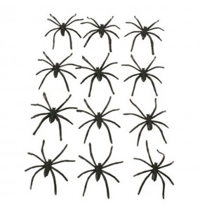 Sac avec araignées