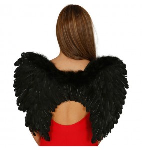 Ailes Noires en Plumes