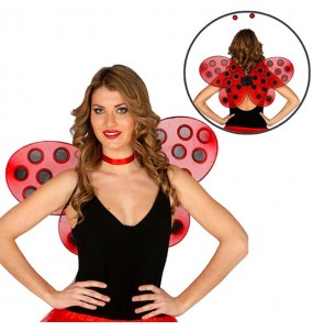 Ailes pour Coccinelle