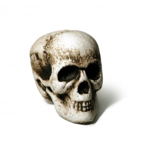 Tête de Mort Décoration