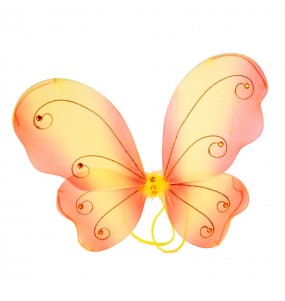 Ailes de Papillon