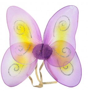 Ailes de Papillon