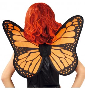 Ailes Oranges Papillon