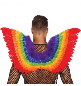 Ailes Plumes multicolore LGTB