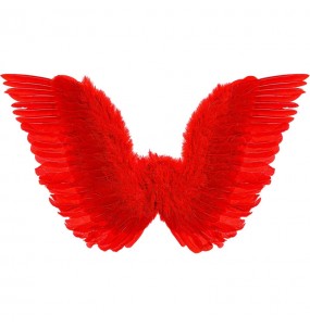 Ailes Plumes rouges