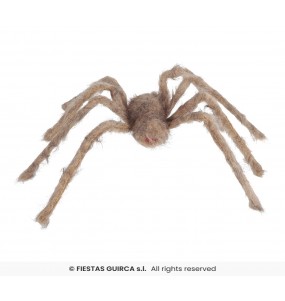 Araignée Géante Grise