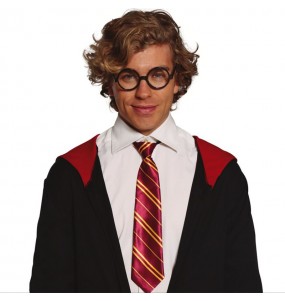 Cravate Magicien Harry Potter