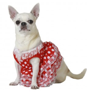 Costume pour chien Danseuse flamenco