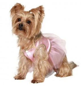 Costume pour chien Ballerine de ballet