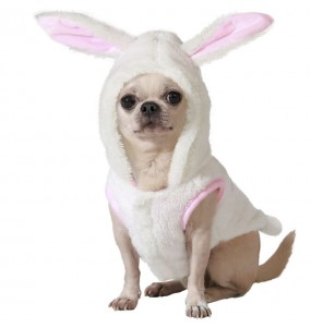 Costume pour chien Lapin