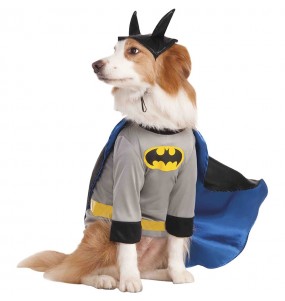 Déguisement Batman pour chien