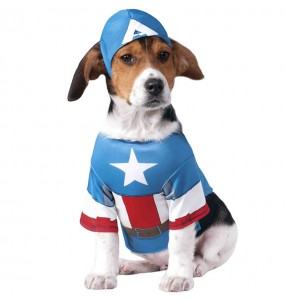 Déguisement Captain America pour chien