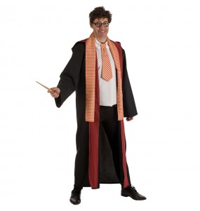 Déguisement Harry Potter Hogwarts homme