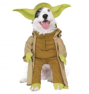 Déguisement Yoda Star Wars pour chien