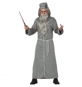 Déguisement Magicien Dumbledore homme