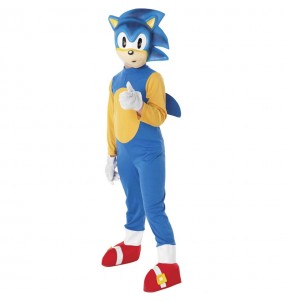 Déguisement Sonic the Hedgehog garçon