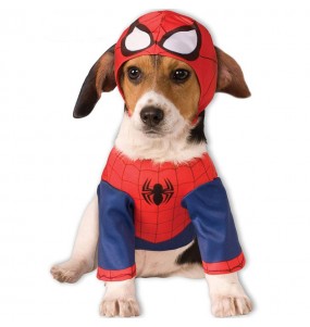 Déguisement Spiderman pour chien