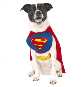 Déguisement Superman pour chien