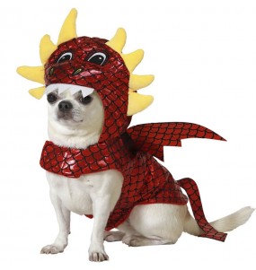 Costume pour chien Dragon
