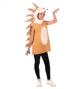Costume adulte Hérisson