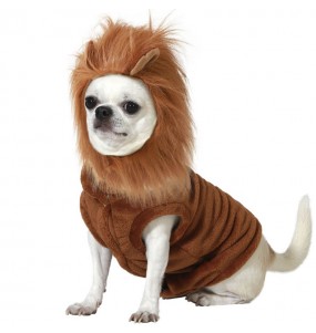 Costume pour chien Lion