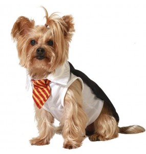 Costume pour chien Magicien Harry Potter