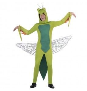 Costume adulte Mante