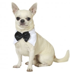 Costume pour chien Nœud papillon