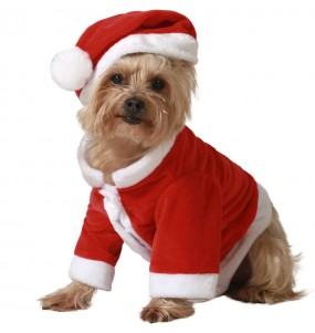 Costume pour chien Père Noël