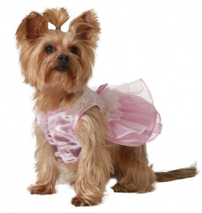 Costume pour chien Princesse rose