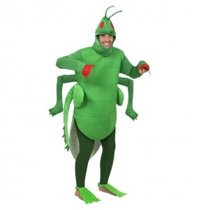 Costume adulte Sauterelle