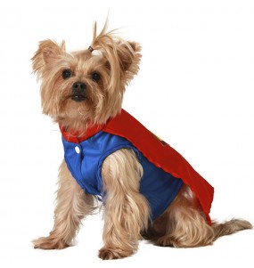 Déguisement Superman pour chien